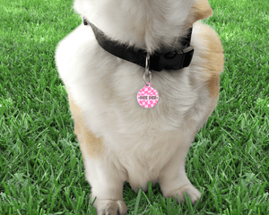 Baby Pink Checker Board personalised Pet ID Name Tag