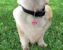 Load image into Gallery viewer, Lime green and Hot Pink Checker Board personalised Pet ID Name Tag