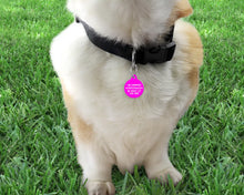 Load image into Gallery viewer, Lime green and Hot Pink Checker Board personalised Pet ID Name Tag