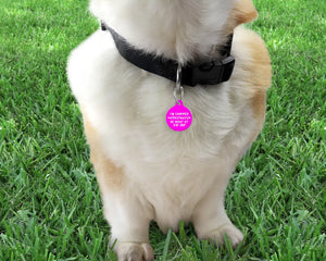 Lime green and Hot Pink Checker Board personalised Pet ID Name Tag
