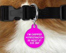 Load image into Gallery viewer, Lime green and Hot Pink Checker Board personalised Pet ID Name Tag